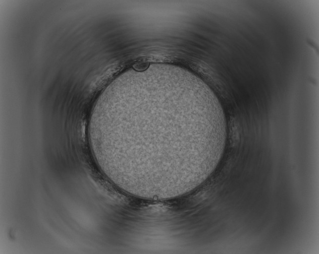 X0000100470310200807031834