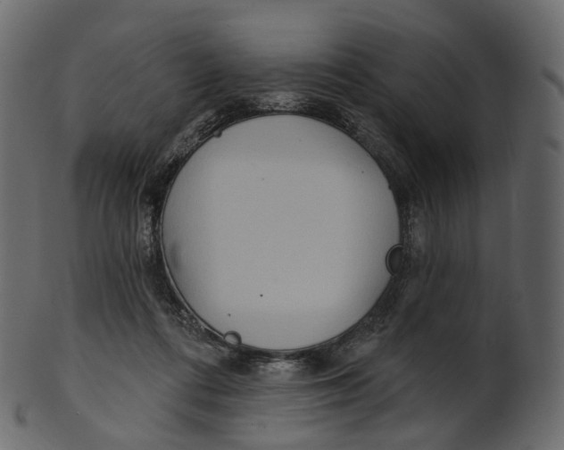 X0000100470312200807031834