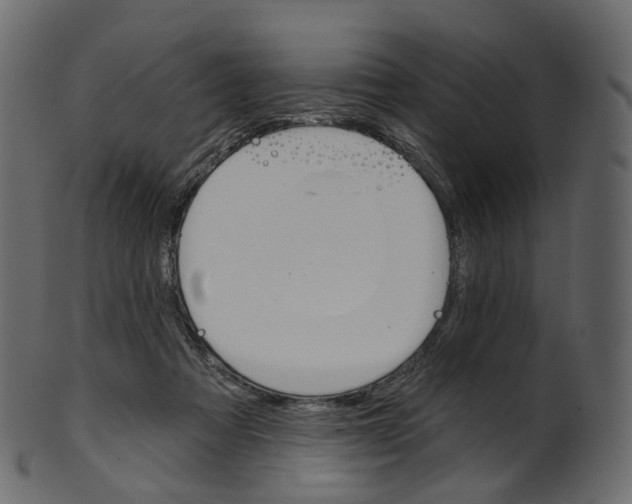 X0000100470313200807031834