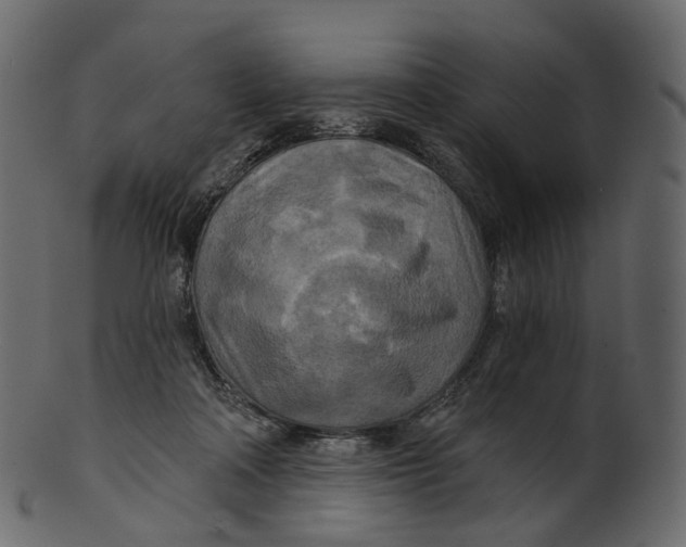 X0000100470314200807031834