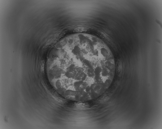 X0000100470315200807031834