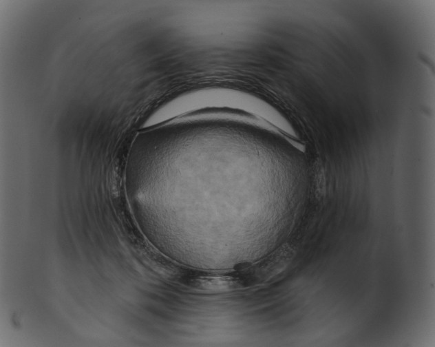 X0000100470316200807031834