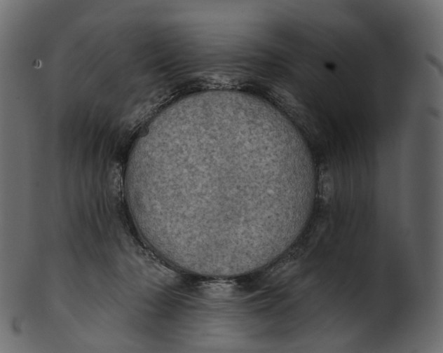 X0000100470318200807031834