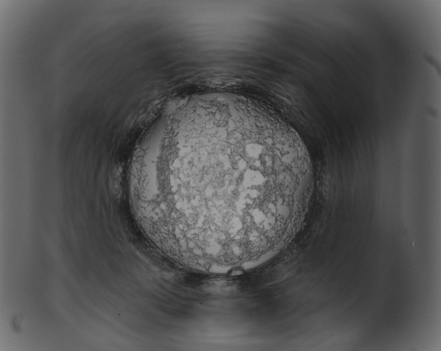 X0000100470319200807031834