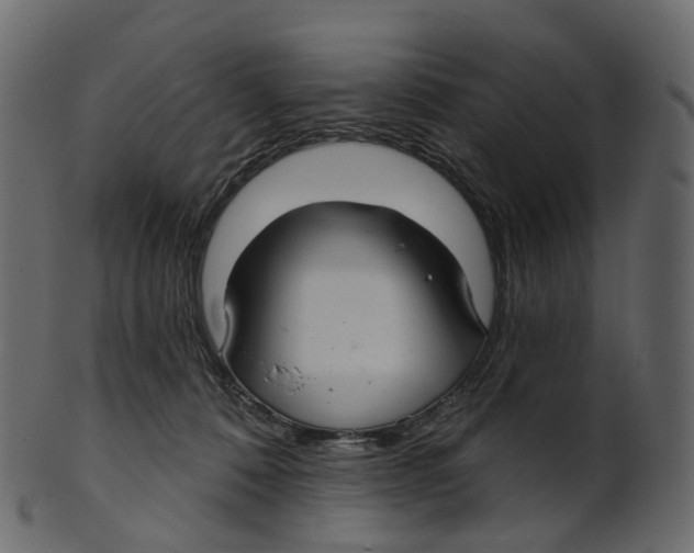 X0000100470320200807031834