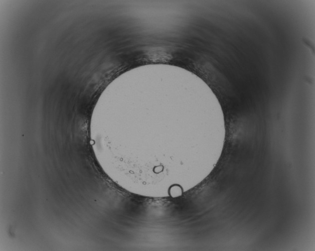 X0000100470321200807031834