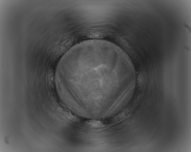 X0000100470322200807031834