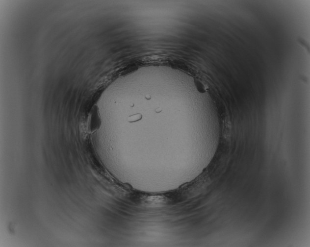 X0000100470324200807031834