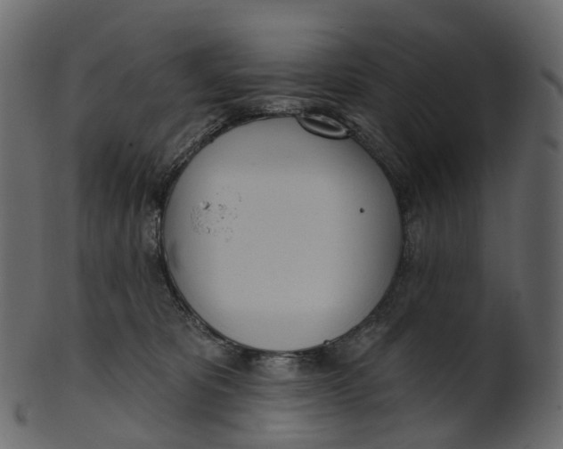 X0000100470325200807031834