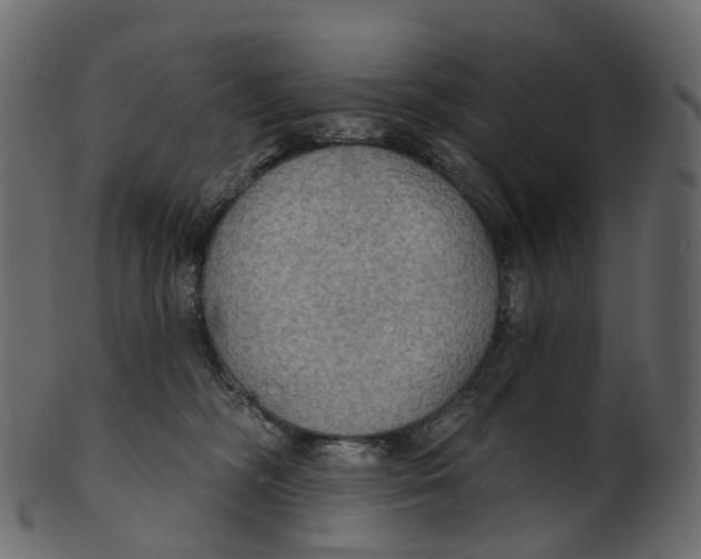 X0000100470326200807031834