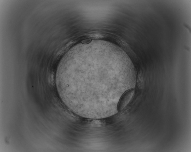 X0000100470330200807031834