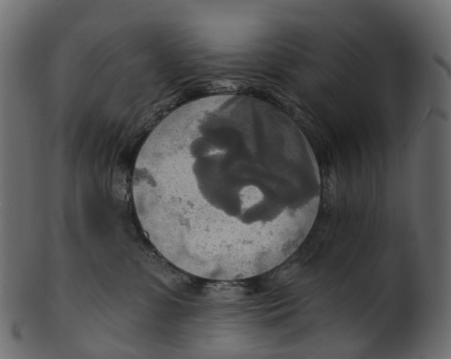 X0000100470331200807031834