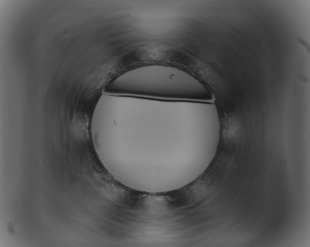 X0000100470332200807031834