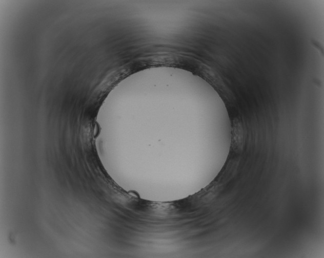 X0000100470333200807031834