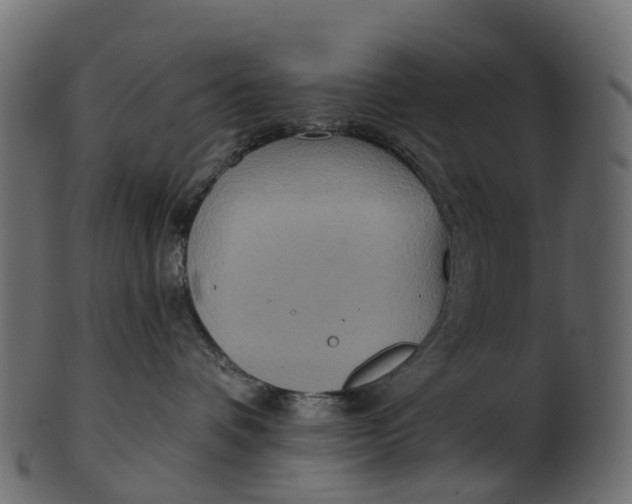 X0000100470336200807031834