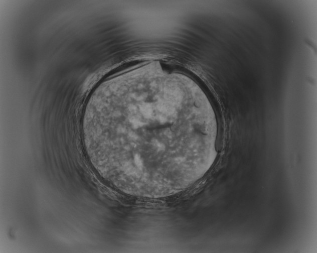 X0000100470337200807031833