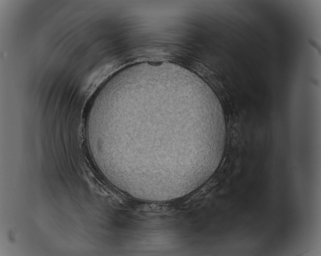 X0000100470338200807031833