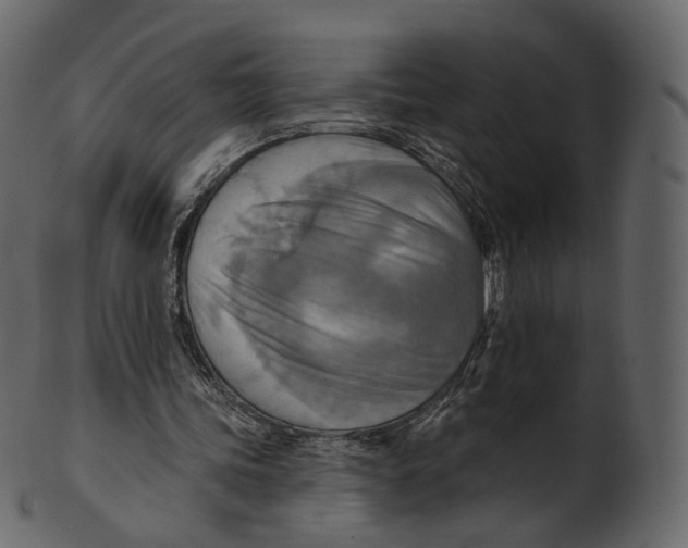 X0000100470339200807031833