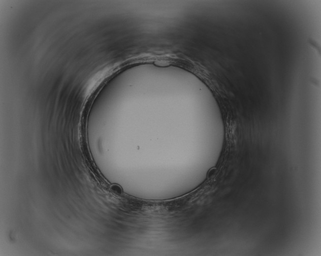 X0000100470340200807031833