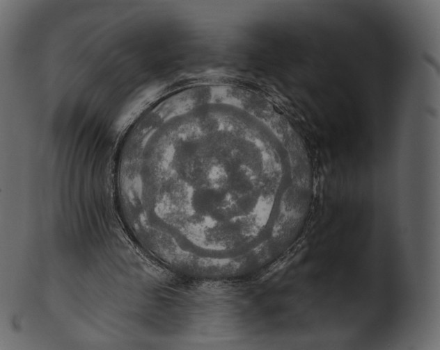 X0000100470341200807031833