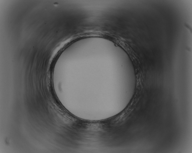 X0000100470342200807031833