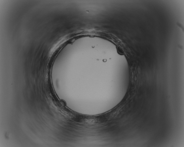 X0000100470344200807031833