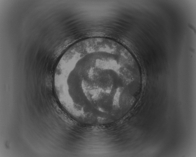 X0000100470345200807031833