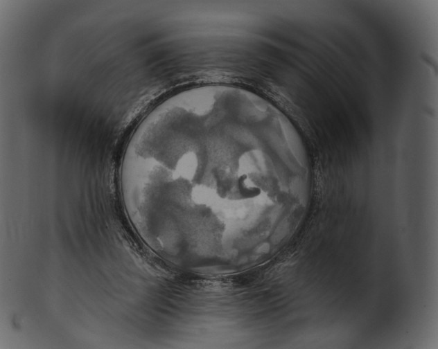 X0000100470347200807031833