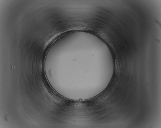 X0000100470348200807031833