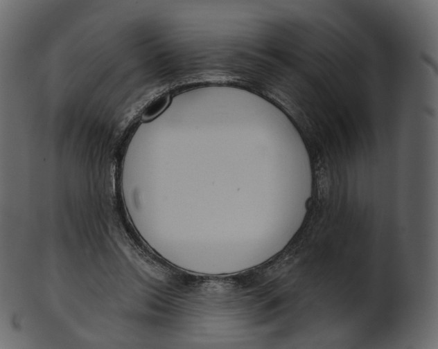 X0000100470350200807031833