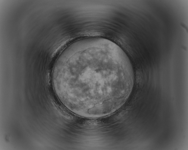 X0000100470351200807031833