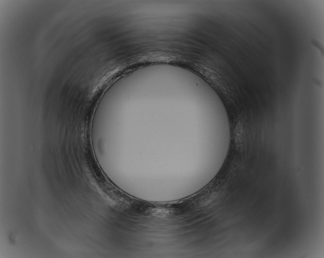 X0000100470352200807031833