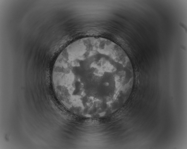 X0000100470354200807031833