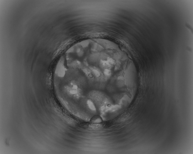 X0000100470357200807031833