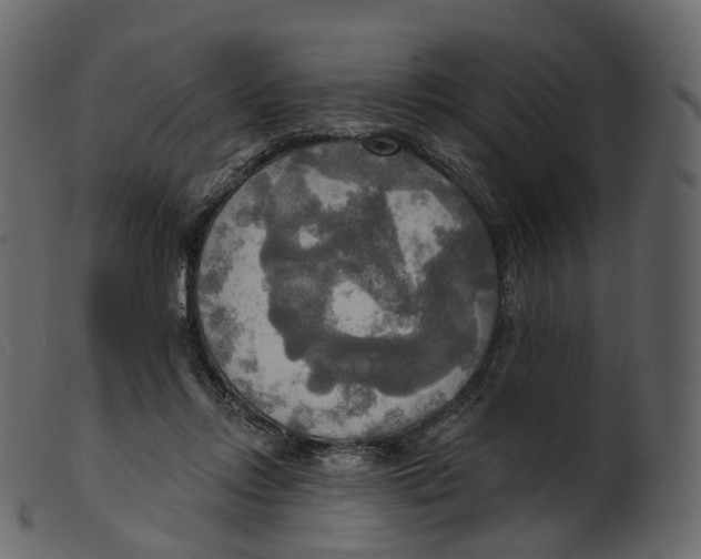 X0000100470358200807031833