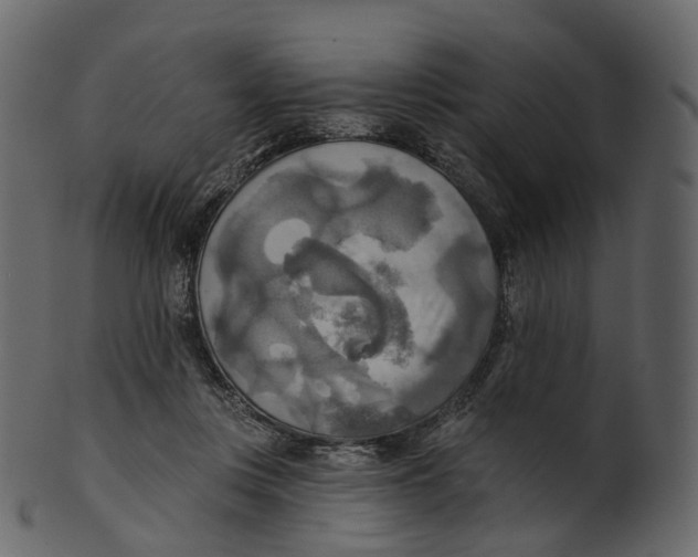 X0000100470359200807031833