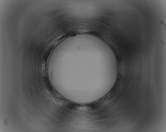 X0000100470360200807031833