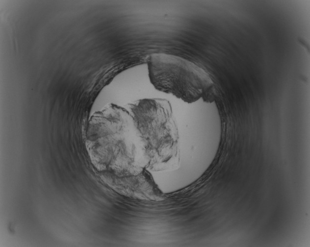 X0000100470361200807031833