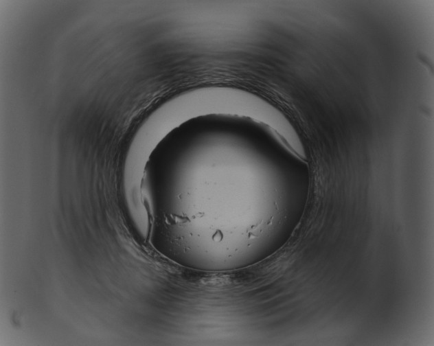 X0000100470362200807031833