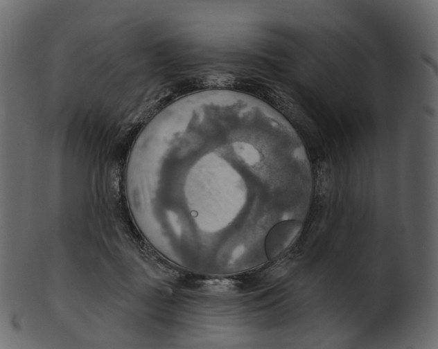 X0000100470363200807031833