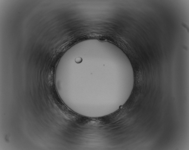 X0000100470364200807031833