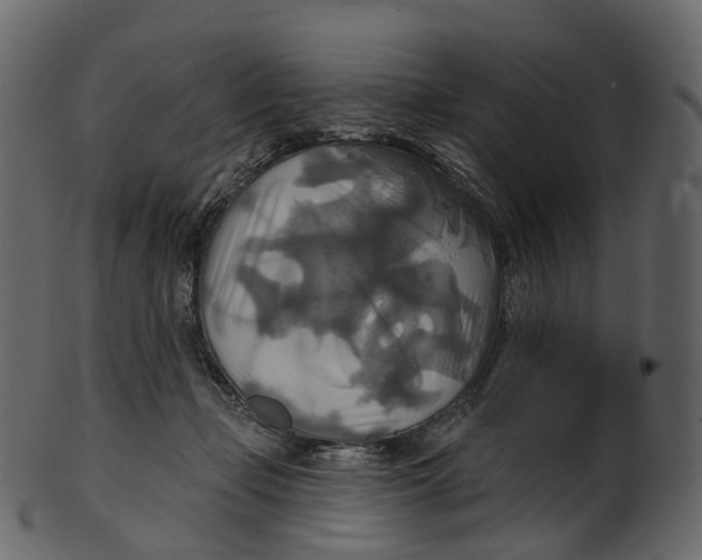 X0000100470365200807031833