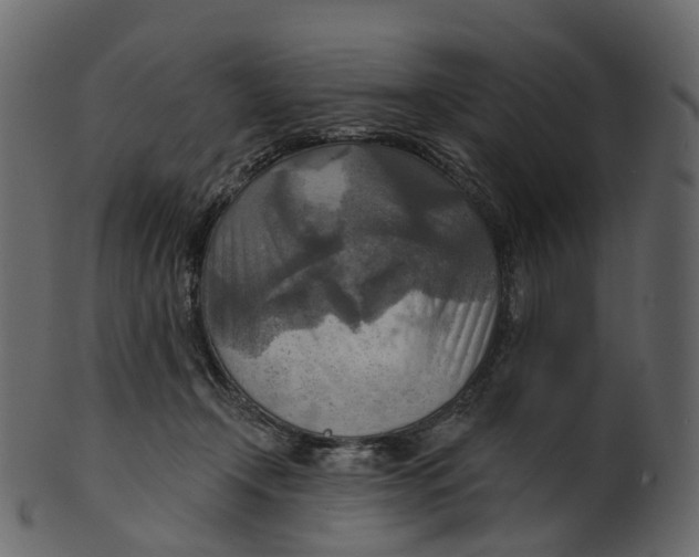 X0000100470366200807031833