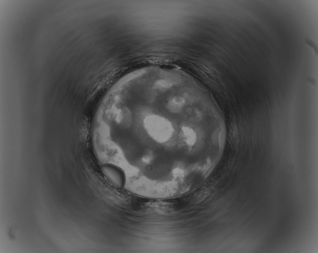 X0000100470367200807031833