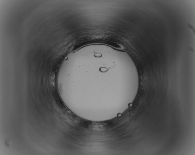 X0000100470368200807031833