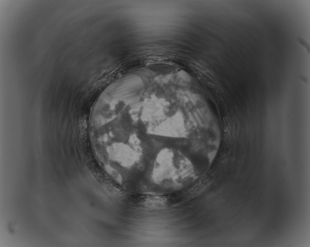 X0000100470369200807031833