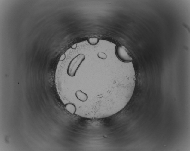 X0000100470370200807031834