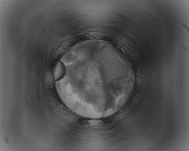 X0000100470371200807031834