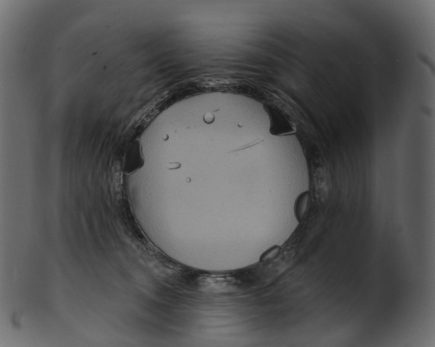 X0000100470372200807031834