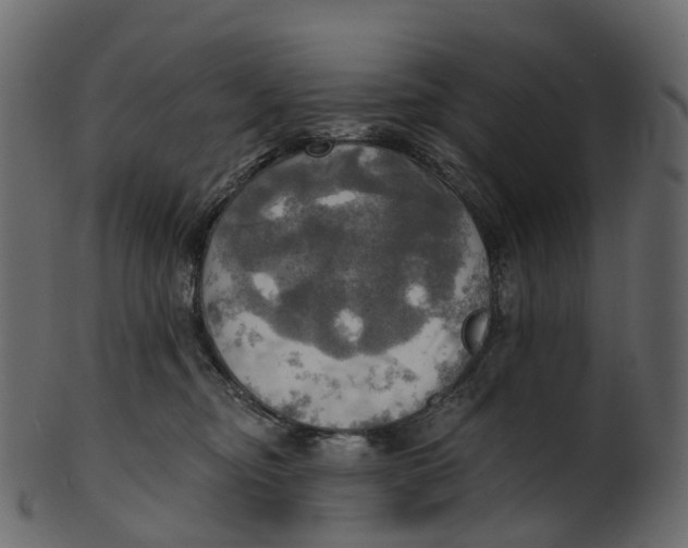 X0000100470374200807031834